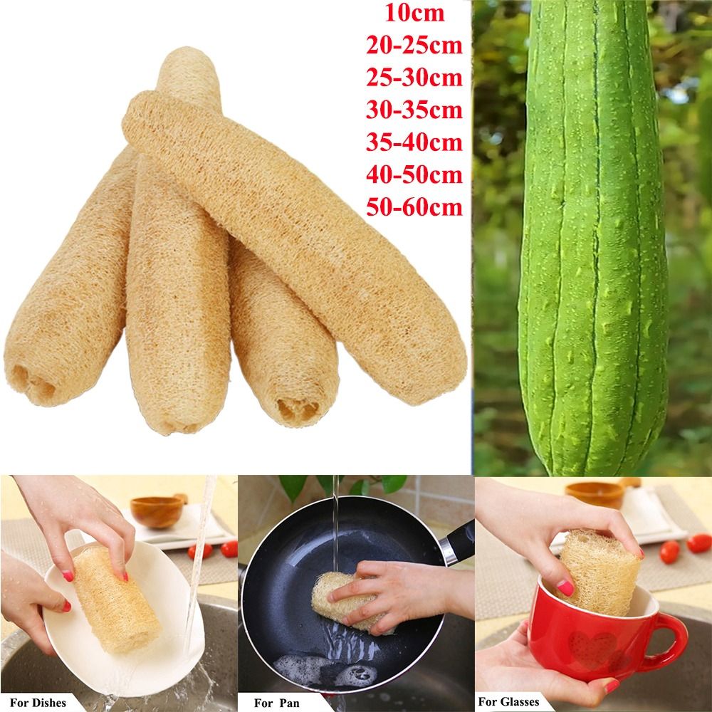 Natural Loofah Luffa Sponge Lo - Body Loofah Natural recension och pris